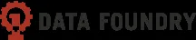 Data Foundry logo