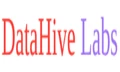 DataHive Labs