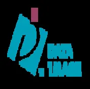 DataImage logo