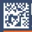 Dataintro Software logo