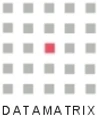 Datamatrix InfoTech logo