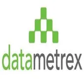 Datametrex logo