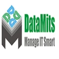 DataMits