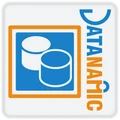 Datanamic logo
