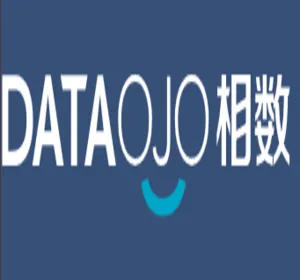 Dataojo logo