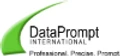 DataPrompt International