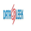 DataSleek