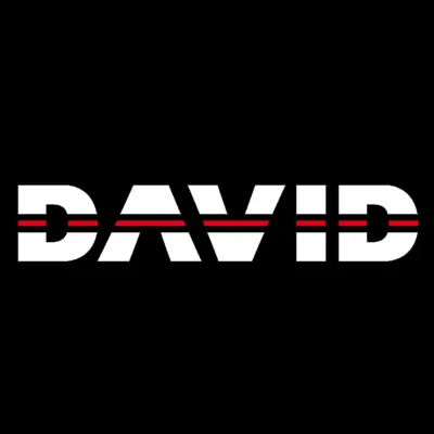 David 3d Scanner logo