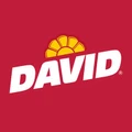 DAVID Seeds logo