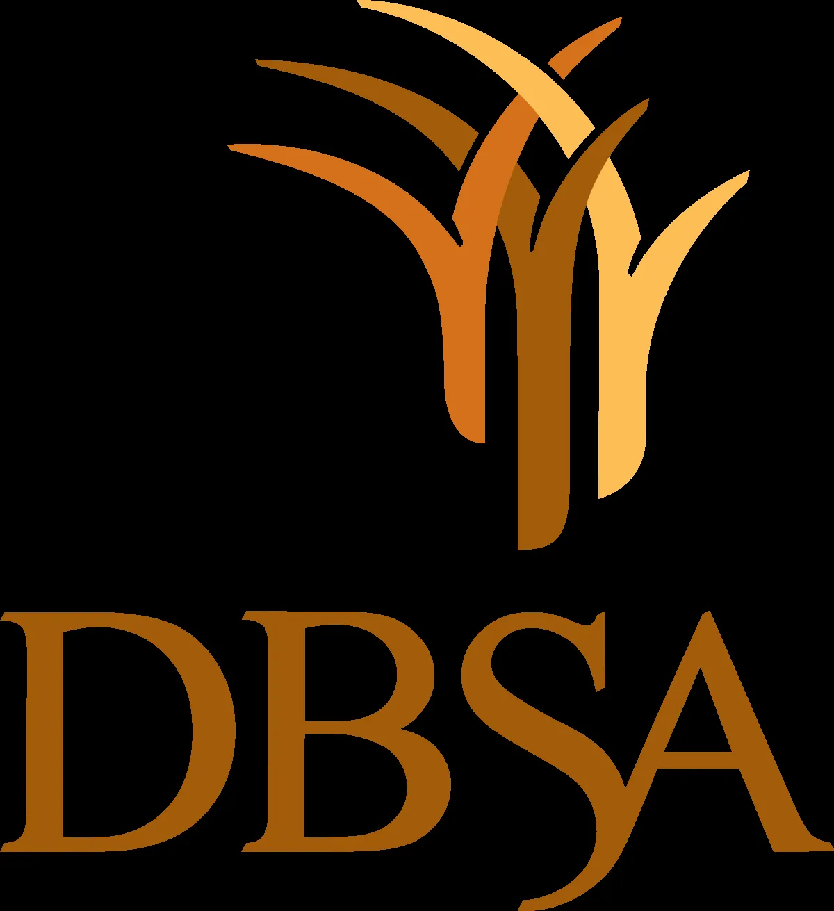 Development Bank of Southern Africa logo