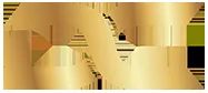 DC Infotech