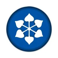 DCM Shriram Industries