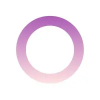 DealFlow logo