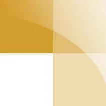 DecisionScience Labs logo