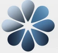 Decotone Surfaces logo