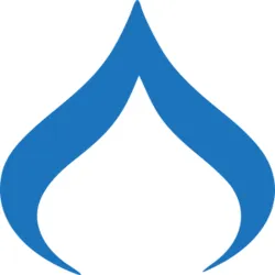 Deep Fork Capital logo