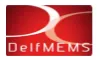 Delfmems logo