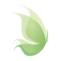 Delmerion logo