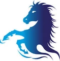 Demiser Cargo logo