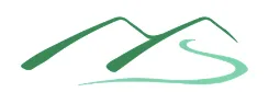 Denver Wellness Associates logo