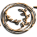 DermaSoul Brasil logo
