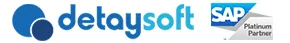 Detaysoft logo