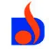 Dhanki Securities