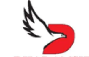 Dharamshi Securities logo