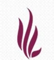 Dhruvi Pharma