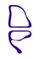 DI PETSA logo