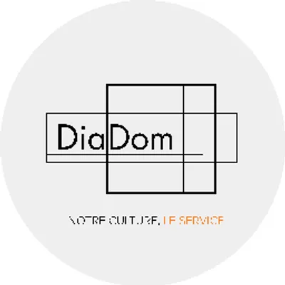 DiaDom logo