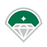 Diamond Baseball Holdings logo
