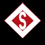 Diamond Shipping logo