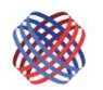 Dictyon logo