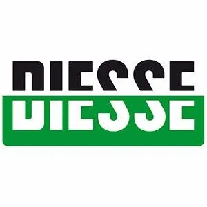 Diesse Diagnostica Senese logo