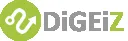 DiGEiZ logo