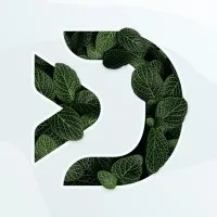 Digiphy logo