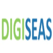 DigiSeas logo