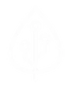 Digital Grove Group logo