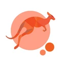 Digital Roo logo