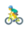 Dignity e-bike