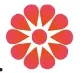 Dignity Foundation logo