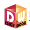 DigyWood
