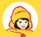Diplom-Is logo