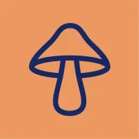 DIRTEA logo