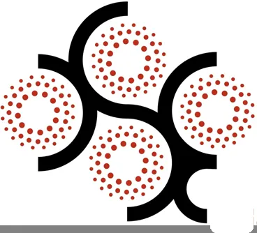 Discovery Biomed logo