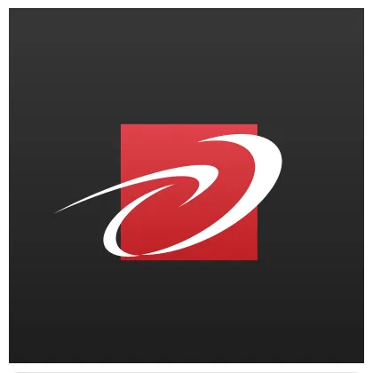 Diverse Solutions logo