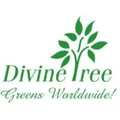 Divine Tree