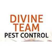 Divine Team Pest logo