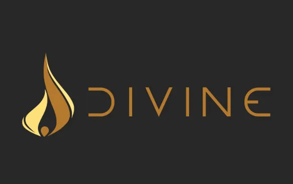 Divine Venture logo